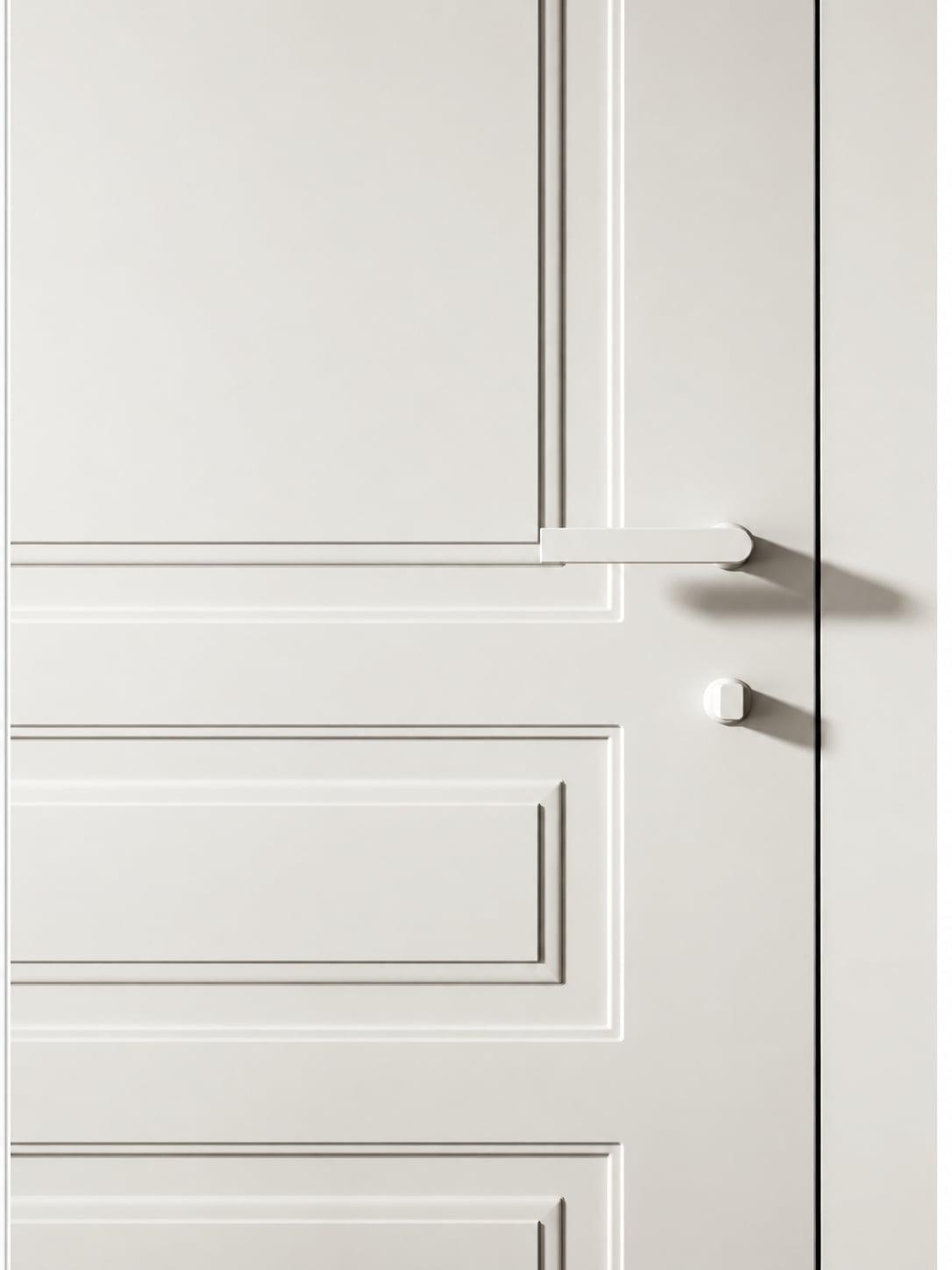 Close-up of a white panelled door with a chrome handle